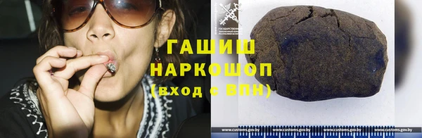 гашик Козловка
