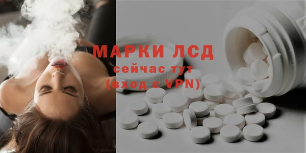 гашик Козловка