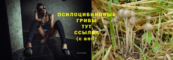 MESCALINE Кинешма