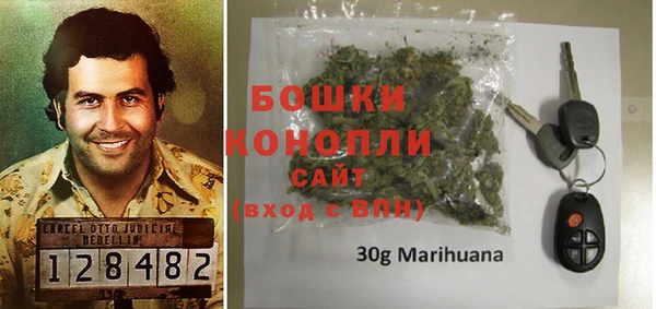 твердый Козельск