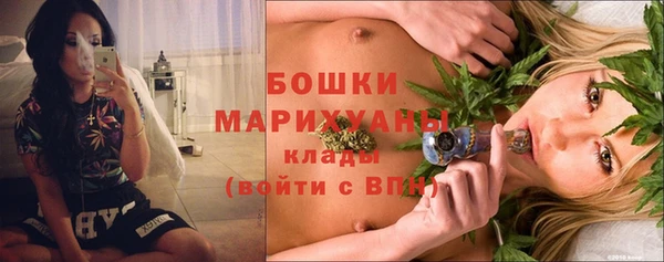 гашик Козловка